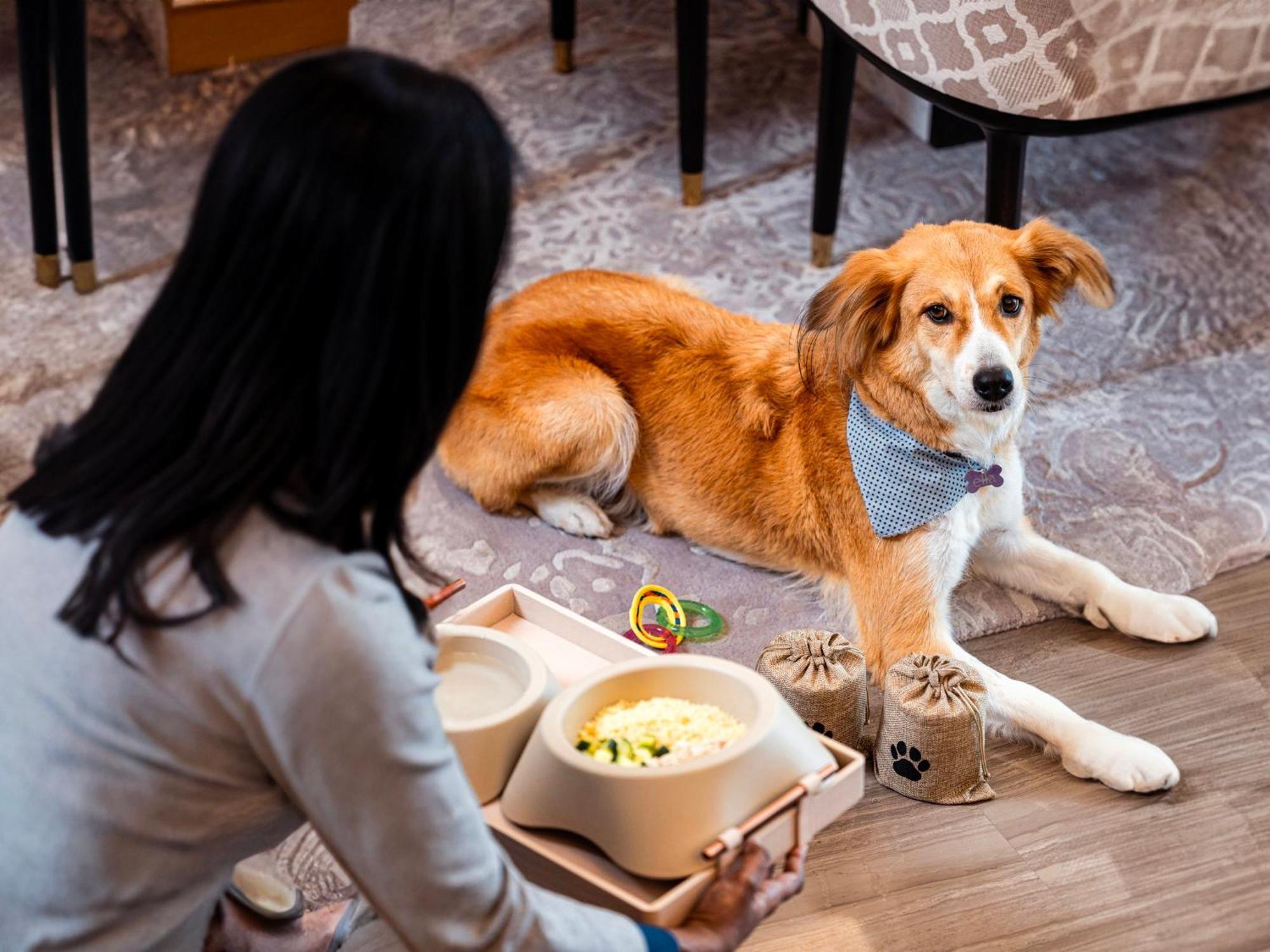 Abesq Doha Hotel And Residences, An Ihg Hotel Exterior foto A dog at the Four Seasons Hotel, Hong Kong